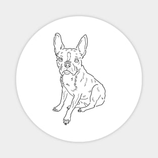 Plenty of Pets---French Bulldog (centered) Magnet